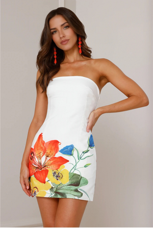 Primrose Mini Dress
